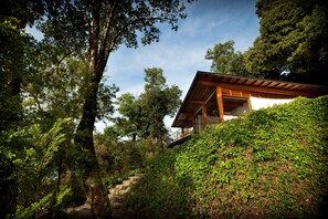Une maison moderne à l’extérieur en bois, entourée d’une végétation luxuriante et d’arbres.