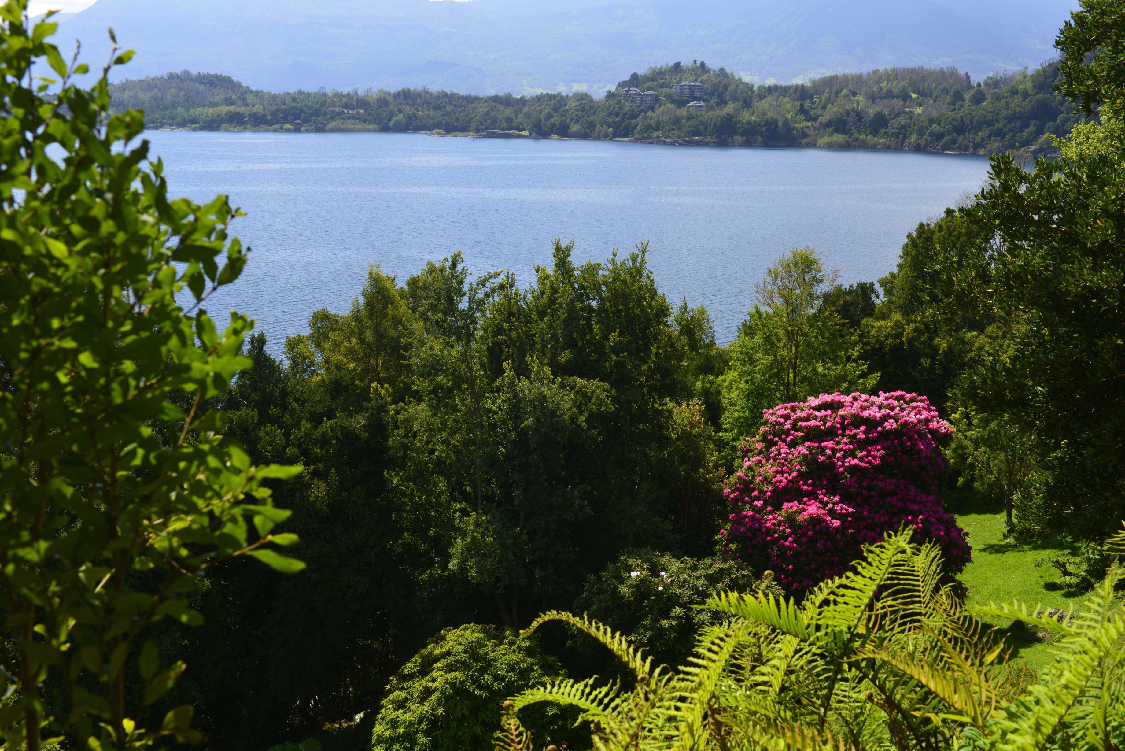 forest chalet for 6 people | lake view