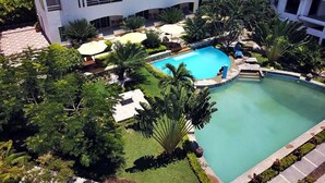 Un edificio de varios pisos con piscina rodeada de abundante vegetación y palmeras.