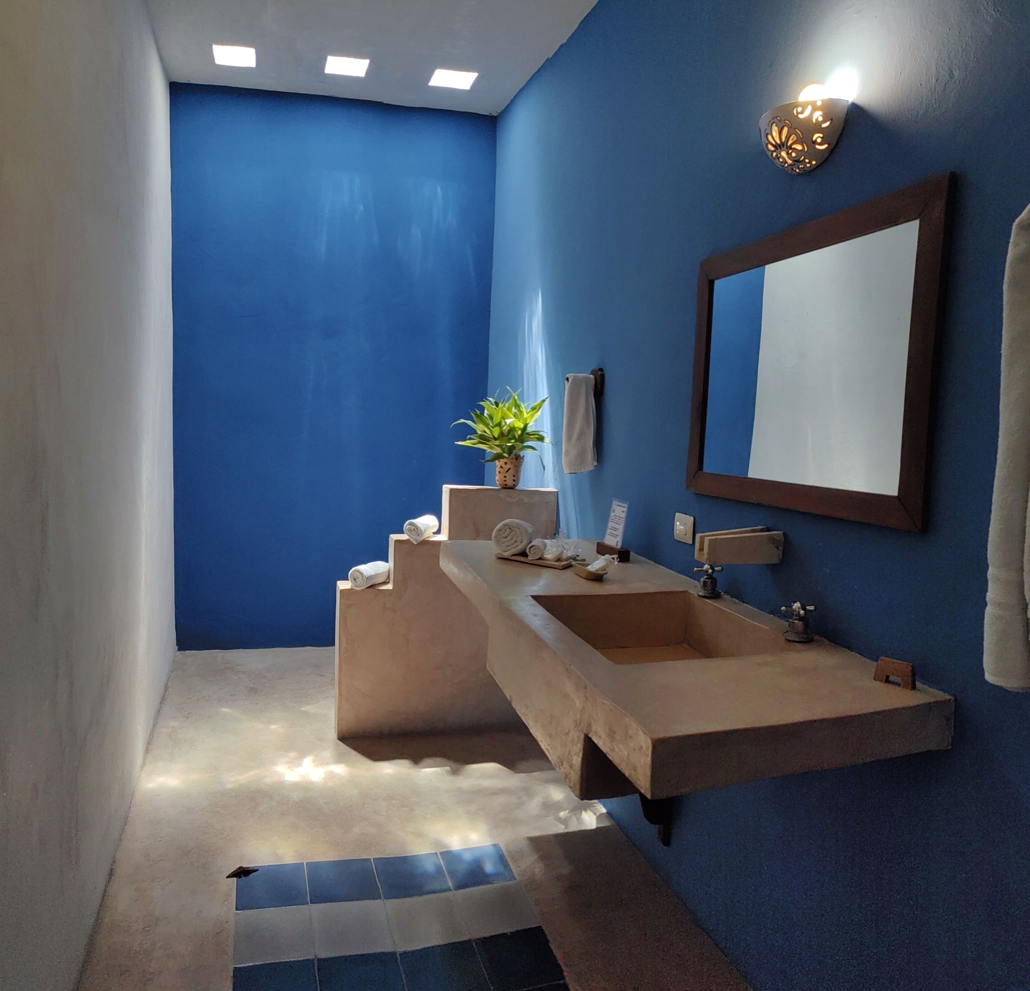 A bathroom with two sinks, a mirror, a towel rack, and a potted plant.