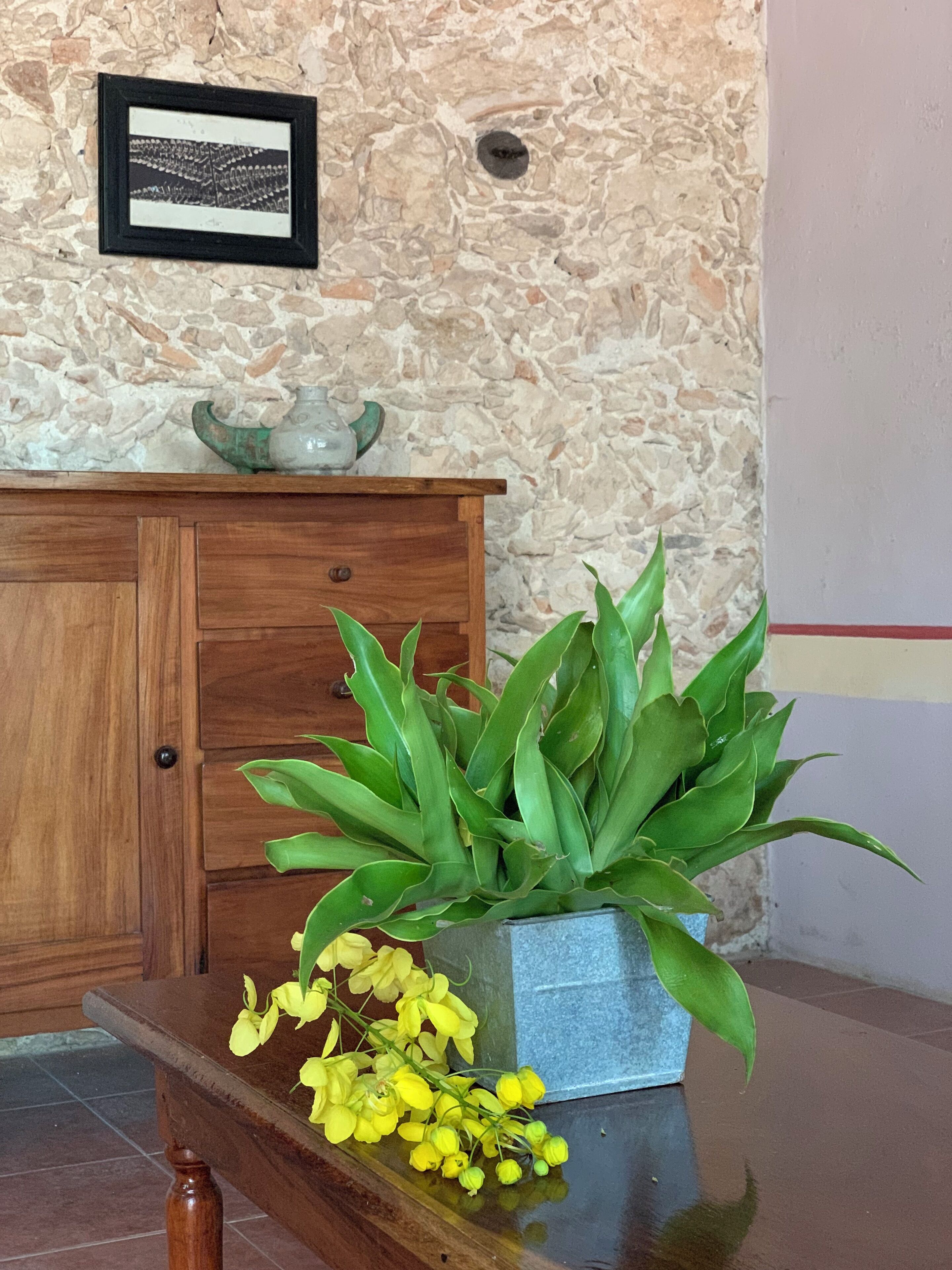 Um armário de madeira encostado a uma parede de pedra, um vaso com planta de folhas verdes e um quadro na parede.