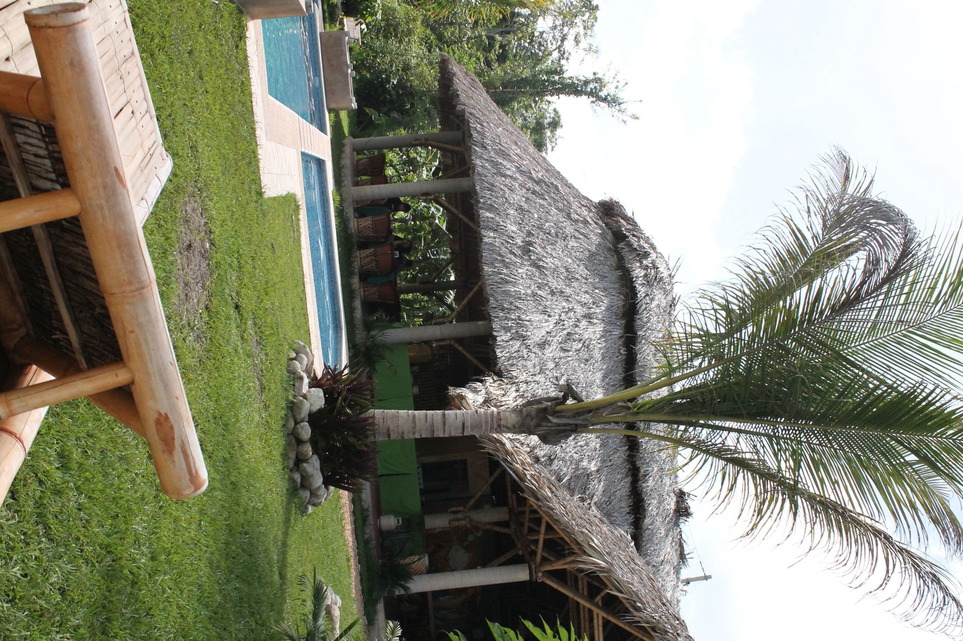 A thatched-roof structure with a pool and a well-maintained lawn.