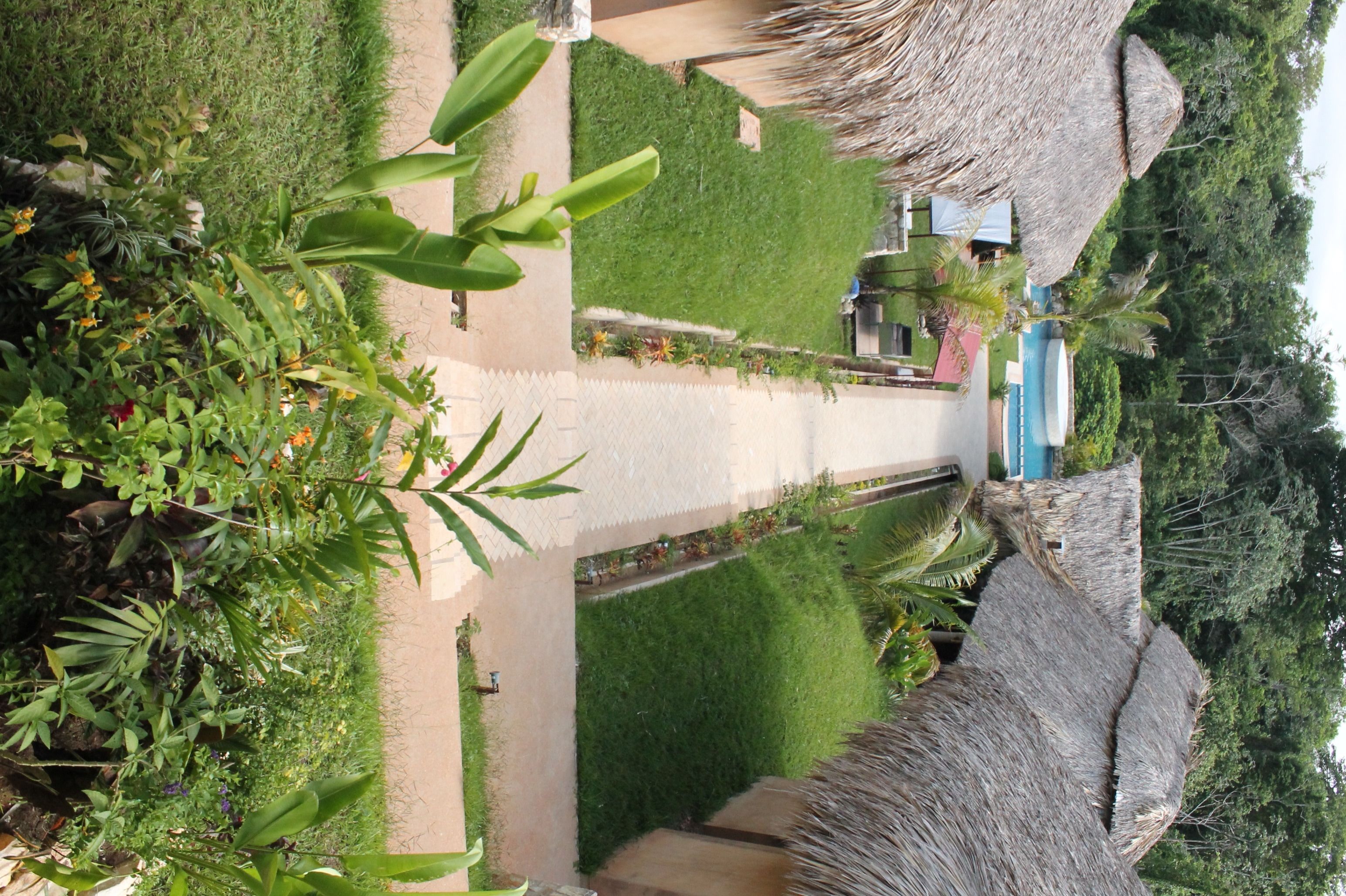 A pathway leading to a pool area with thatched-roof structures and lush greenery.
