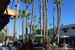 Property grounds - Los Angeles Backpackers Paradise Hostel (Inglewood)