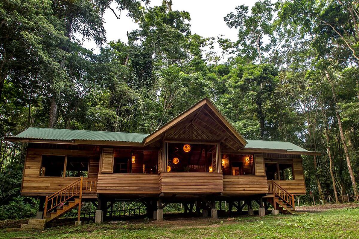 Eine Holzhütte mit grüner Dachdeckung, auf Stelzen stehend, umgeben von dichtem Wald.