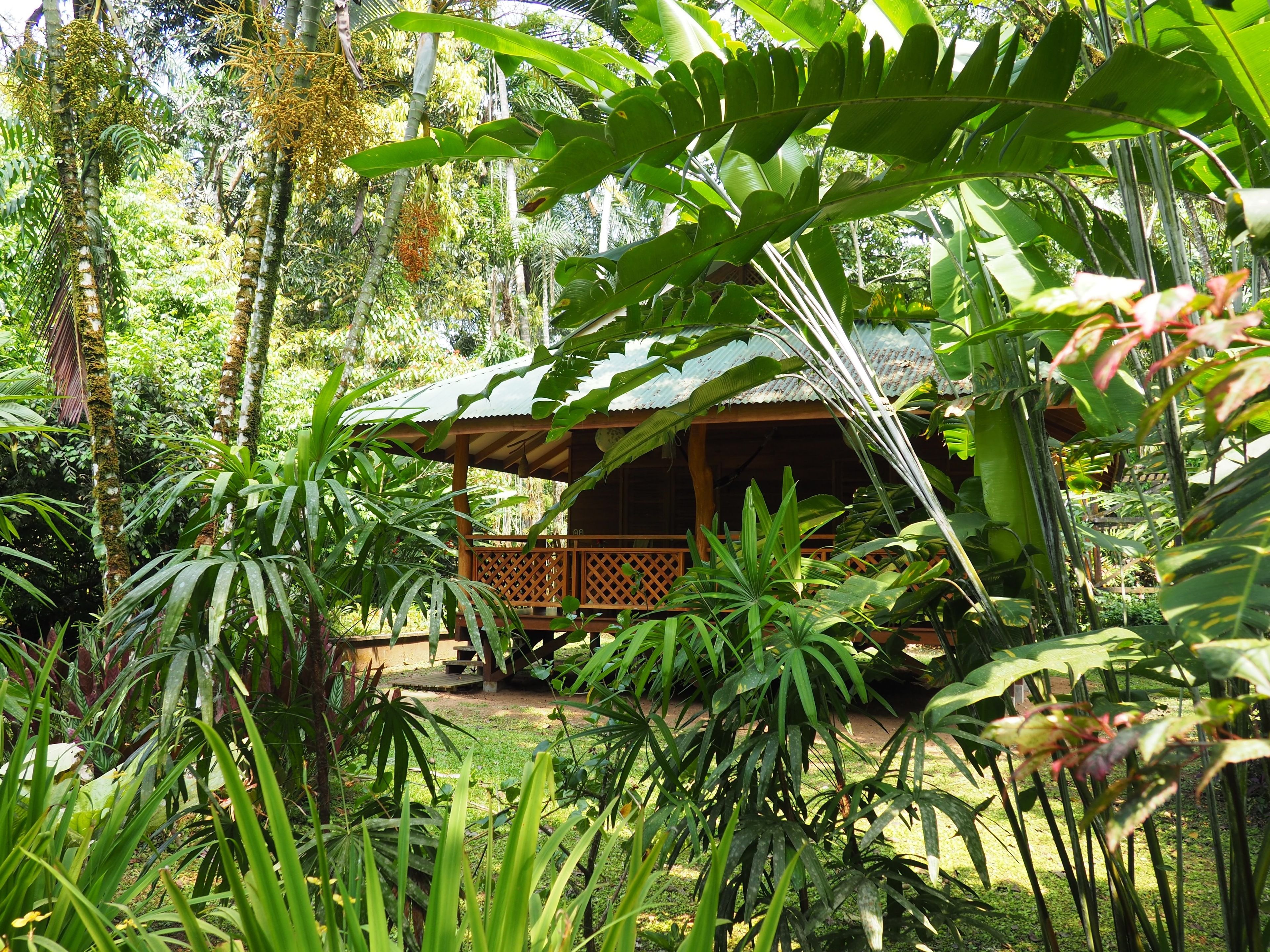 A wooden structure with a corrugated metal roof surrounded by dense tropical vegetation.