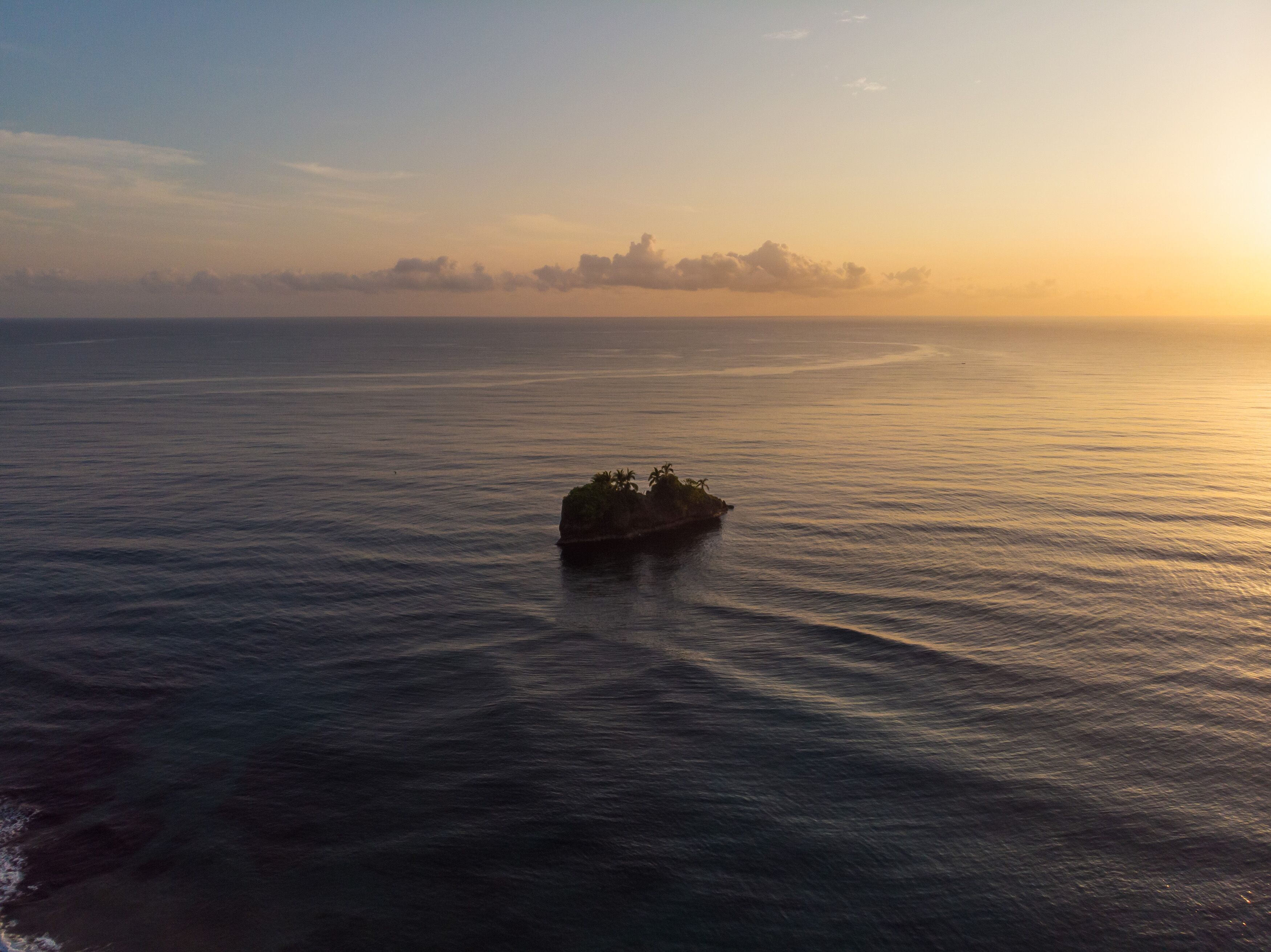 A calm sea with a small island featuring palm trees.