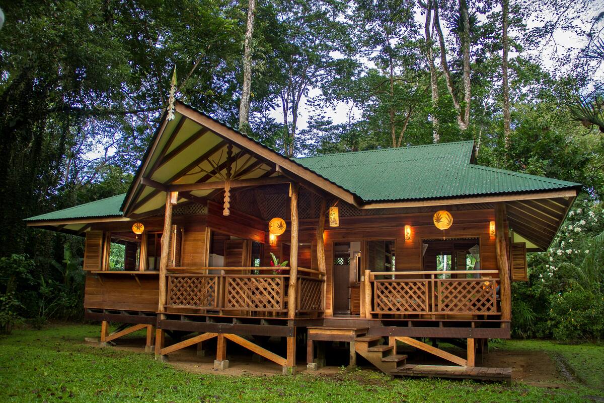 Eine Holzhütte mit Veranda und grüner Dachbegrünung, umgeben von Bäumen.