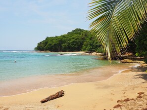 Beach nearby - La Finca Chica (Cahuita)