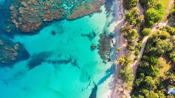An aerial view of a coastal area with clear turquoise waters, a sandy beach, and dense tropical vegetation. - La Finca Chica (Cahuita)