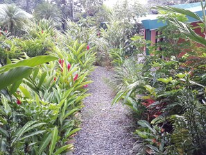 Garden - San Rafael Ecolodge (La Tigra)