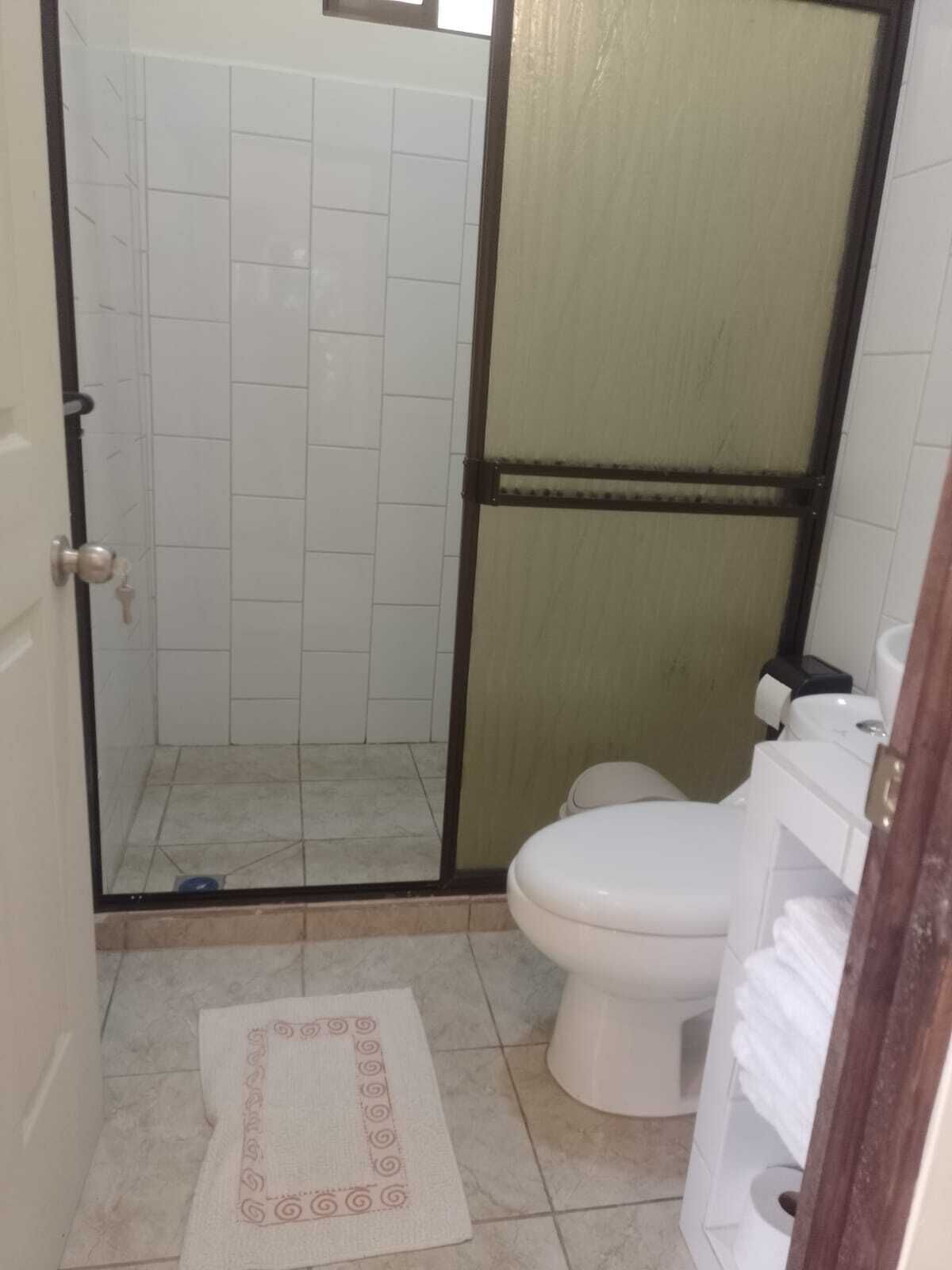 A bathroom with a shower, toilet, and a small shelf with towels.