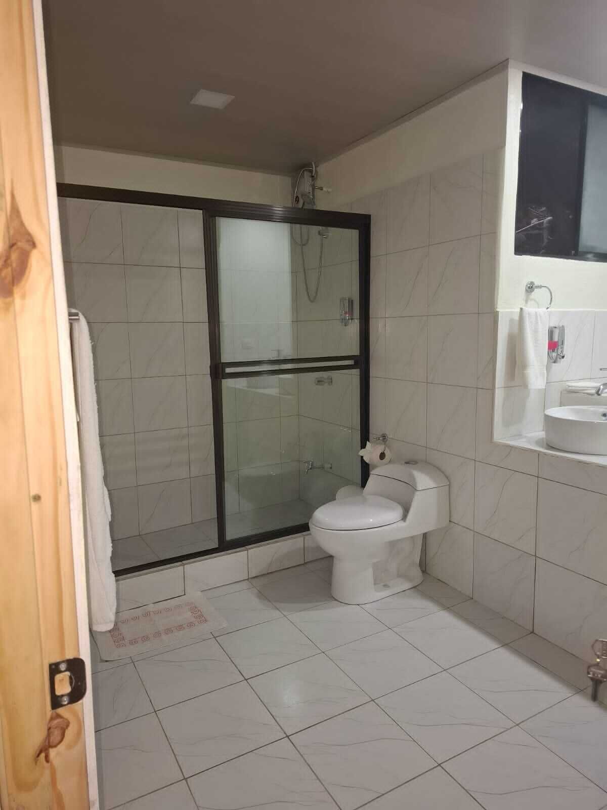 Ein Badezimmer mit einer Duschkabine, einer Toilette und einem Waschbecken mit Spiegel darüber.