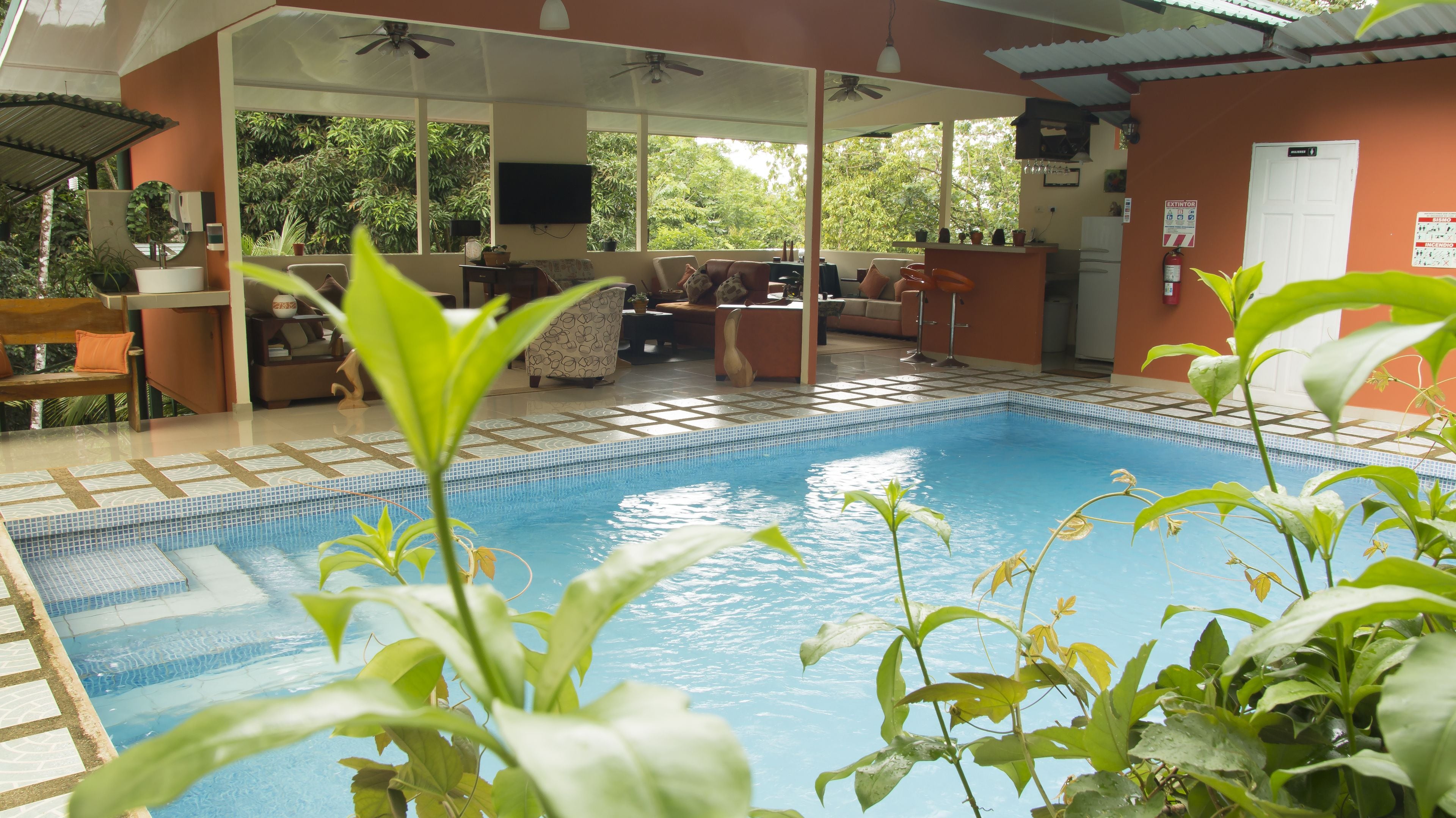 Piscina externa, funciona das 9h às 19h, espreguiçadeiras