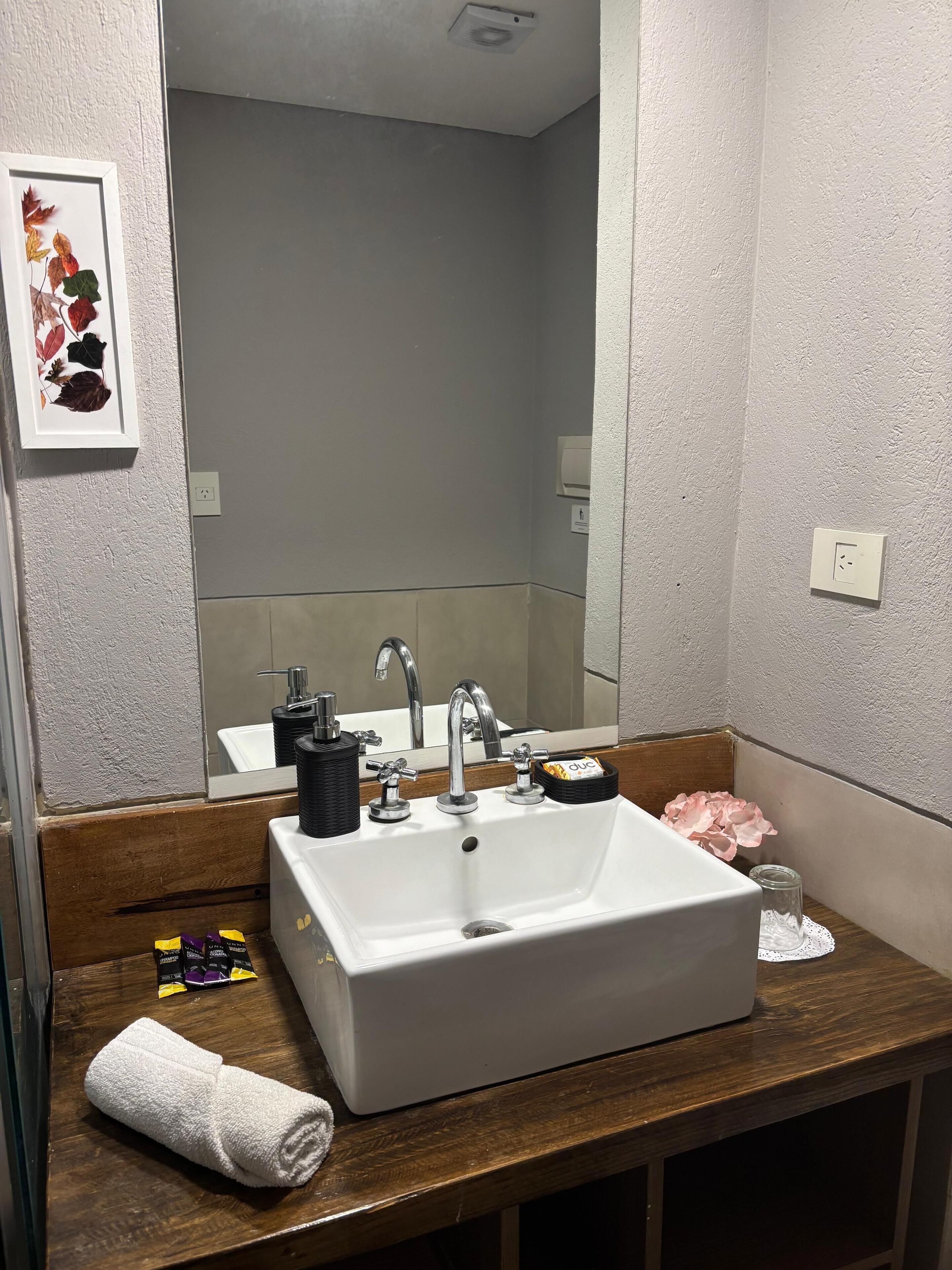 Een badkamer met een witte wastafel, twee kranen, een spiegel en een lijst met bladeren.