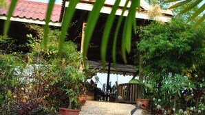 A covered outdoor area with potted plants and a pathway leading to a structure with a tiled roof. - The River Lodge (Kampot)