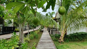 A pathway lined with palm trees and a hanging green fruit. - Isle Beach Resort (Krabi)