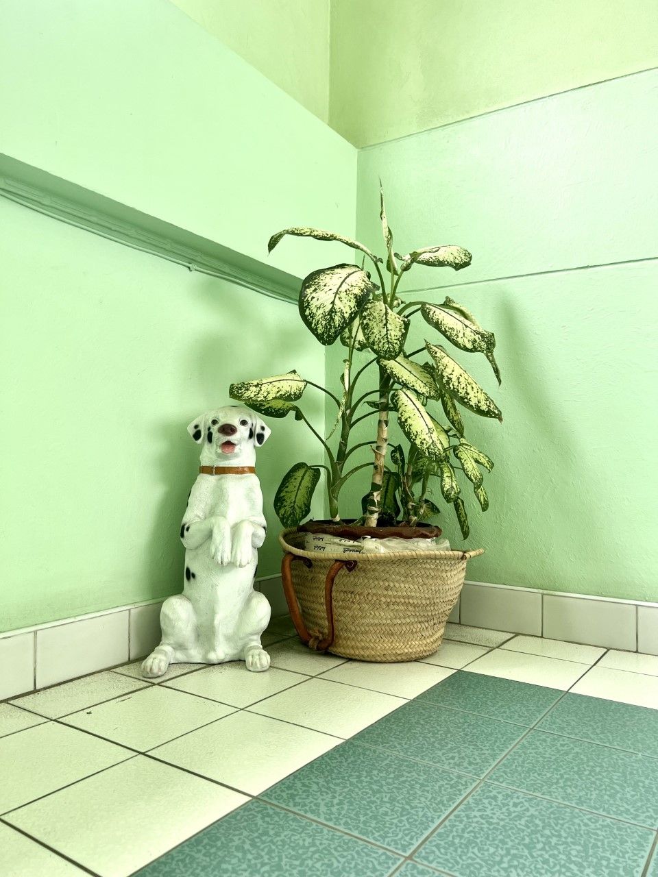 A Dalmatian dog figurine next to a potted plant in a corner with green walls and tiled flooring.