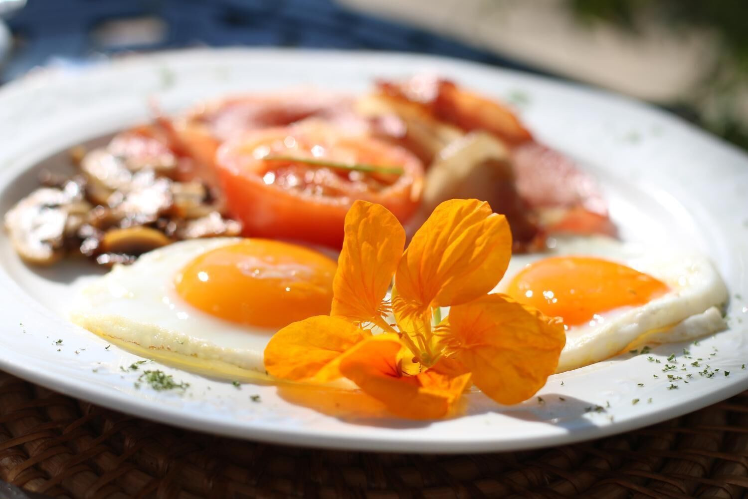 Une assiette de nourriture comprenant des œufs, des tomates, des champignons et du bacon.