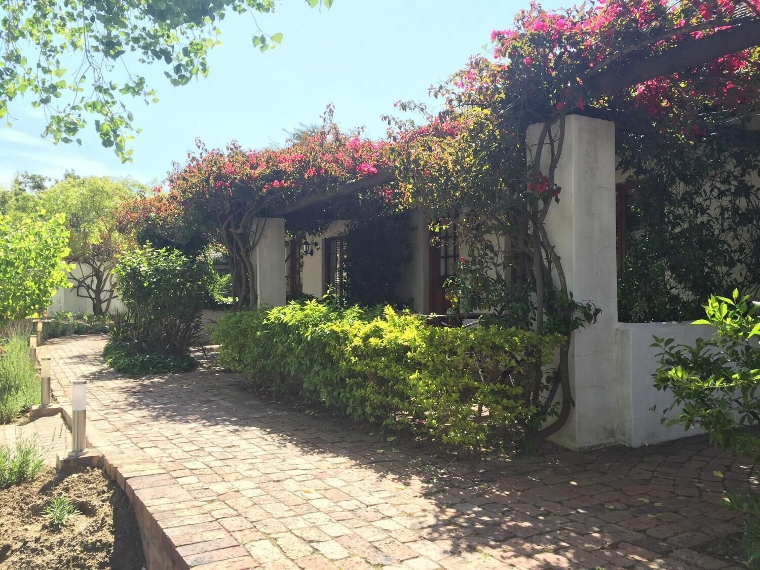 A paved pathway leading to a building with a white facade and a covered area with flowering vines.