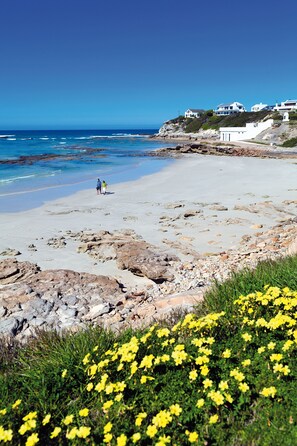 Beach - Arniston Spa Hotel (Arniston)