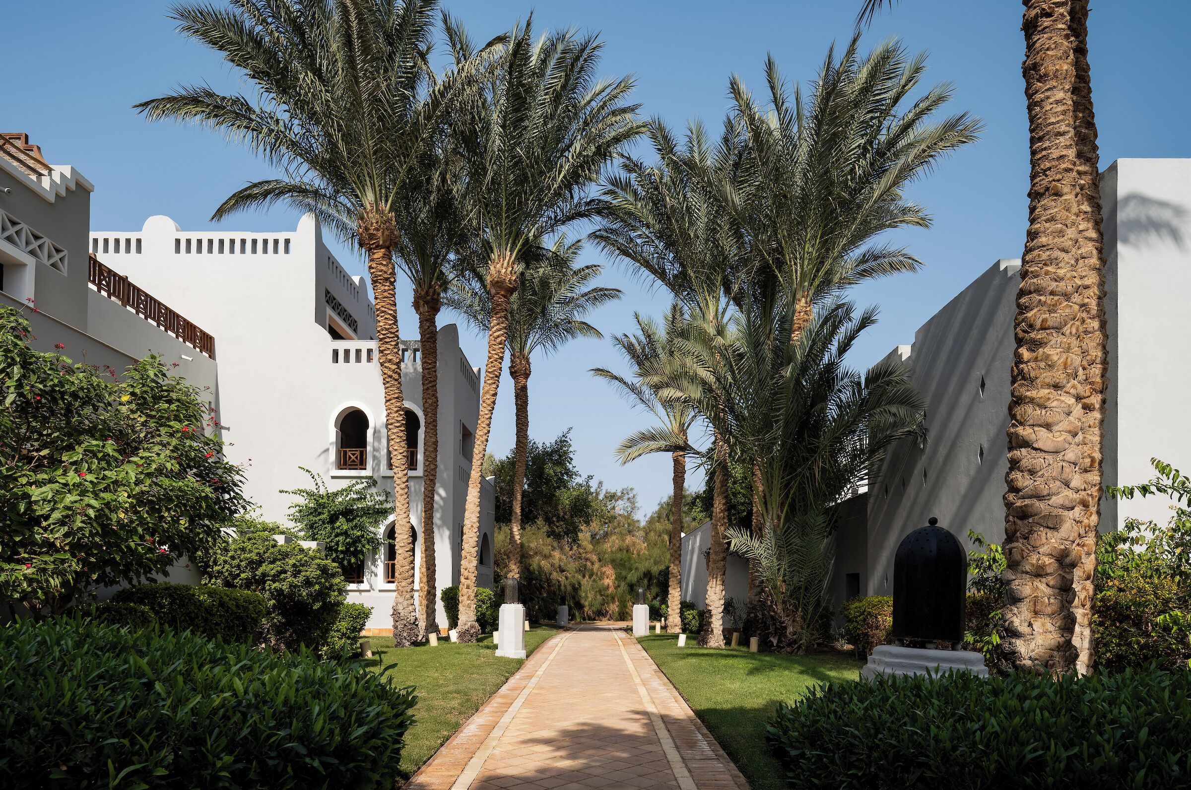 Giardino