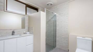 A modern bathroom with a glass shower enclosure, a white sink, and a toilet.