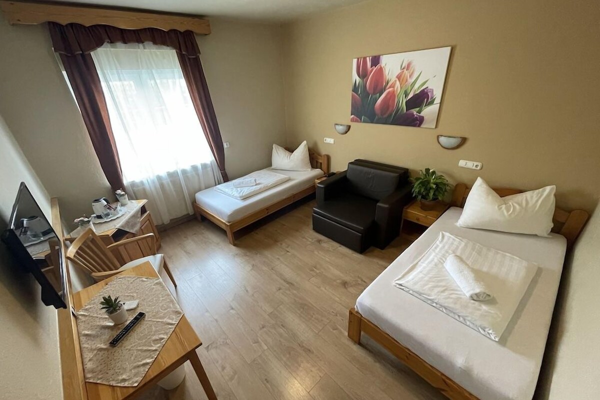 Camera d'albergo con due letti singoli, un divano, una scrivania con una sedia, un tavolino con una pianta, un quadro appeso al muro e una finestra con tende.