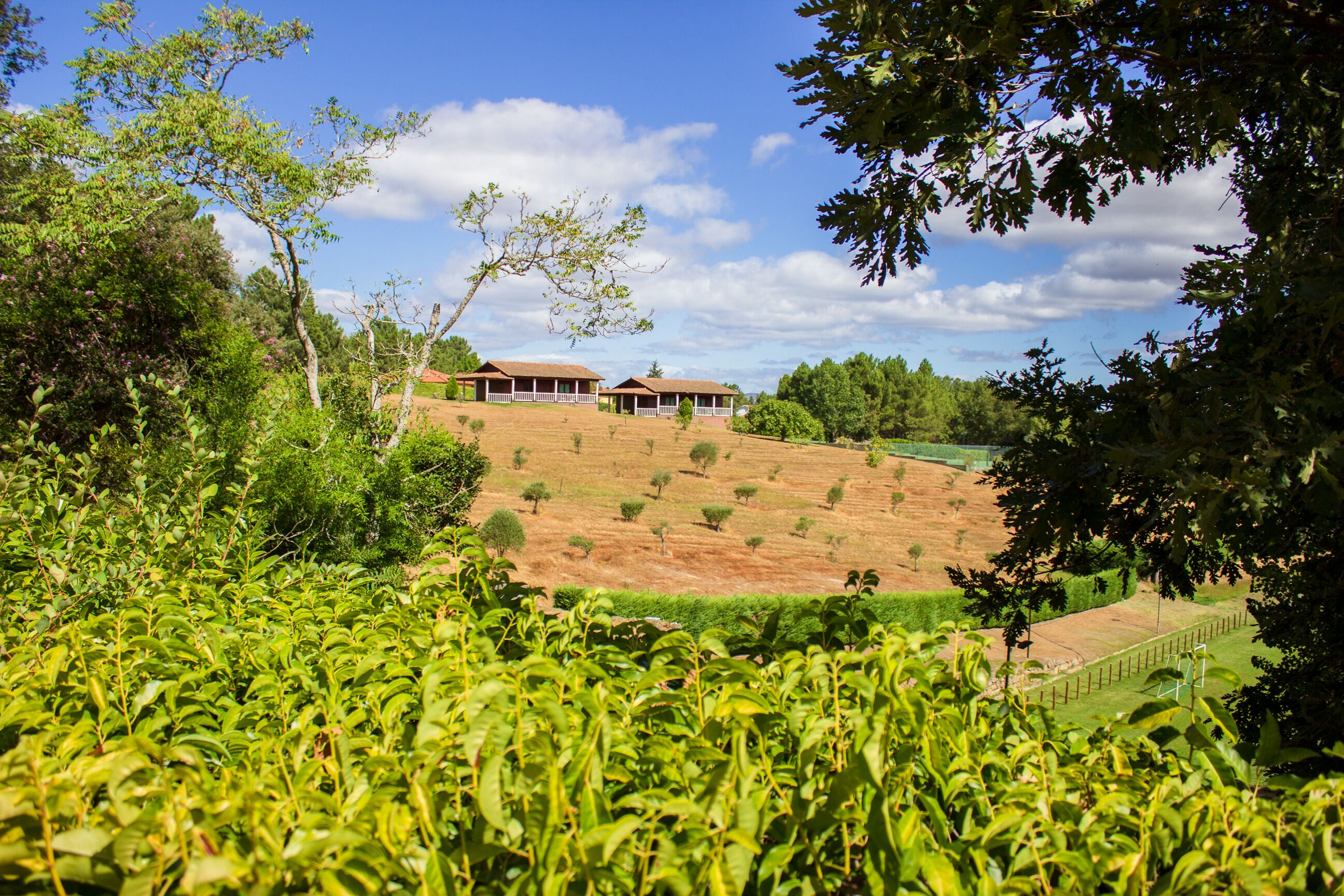 A rural landscape with two buildings on a hill, surrounded by greenery and trees.