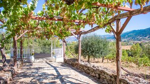 Un sentier traversant un vignoble, bordé de murs en pierre et agrémenté de pergolas en bois.