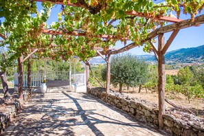 Exterior - Hotel Rural Quinta de Samaiões (Chaves)