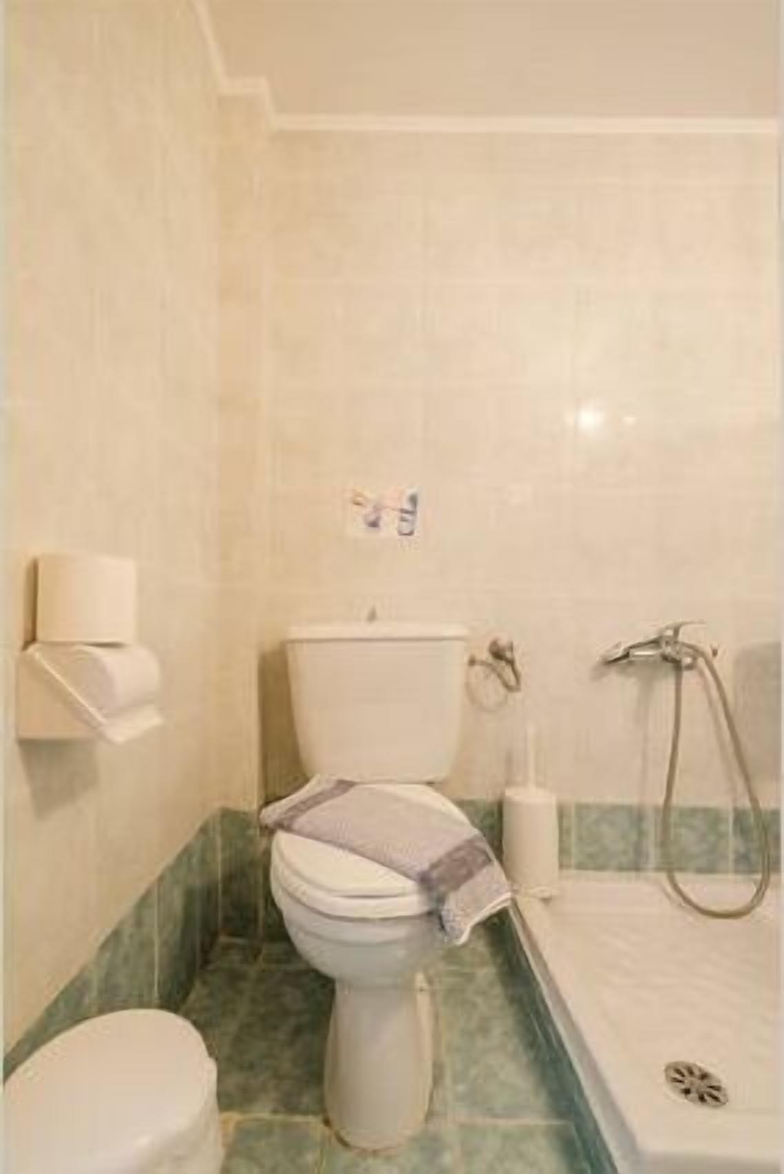 Un baño con inodoro, ducha y toallero.