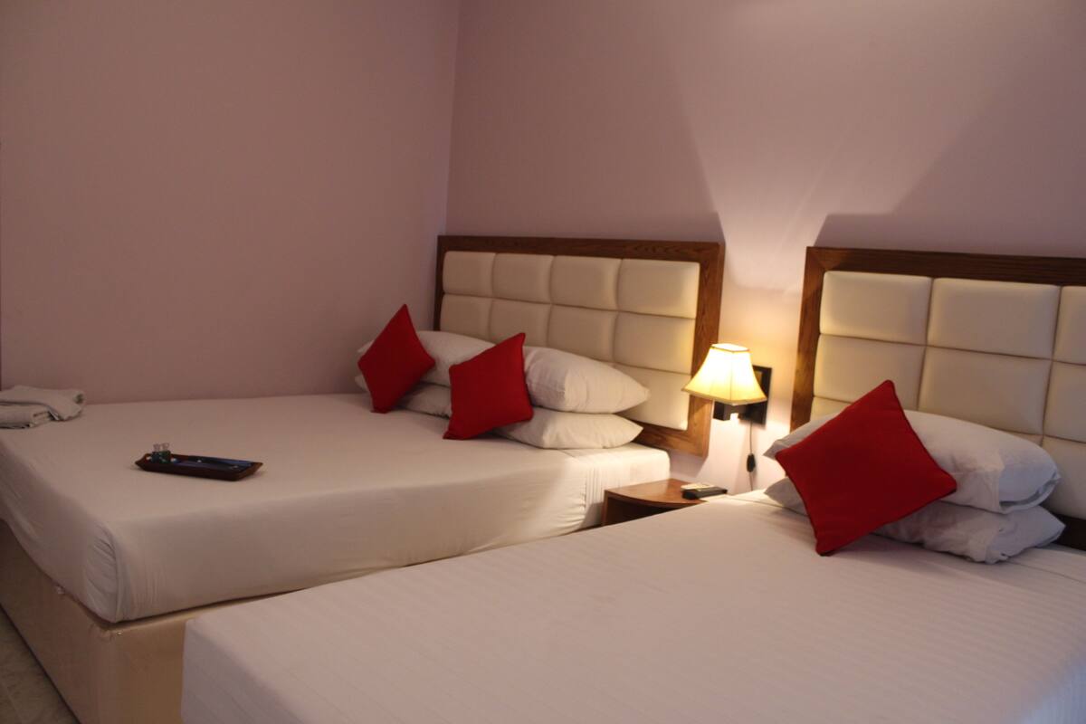 Two beds with white linens and red pillows, a bedside table with a lamp, and a phone on the left bed.