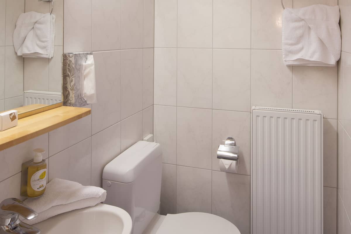 komfort einzelzimmer mit bergblick und balkon | bathroom | hair dryer, bathrobes, towels