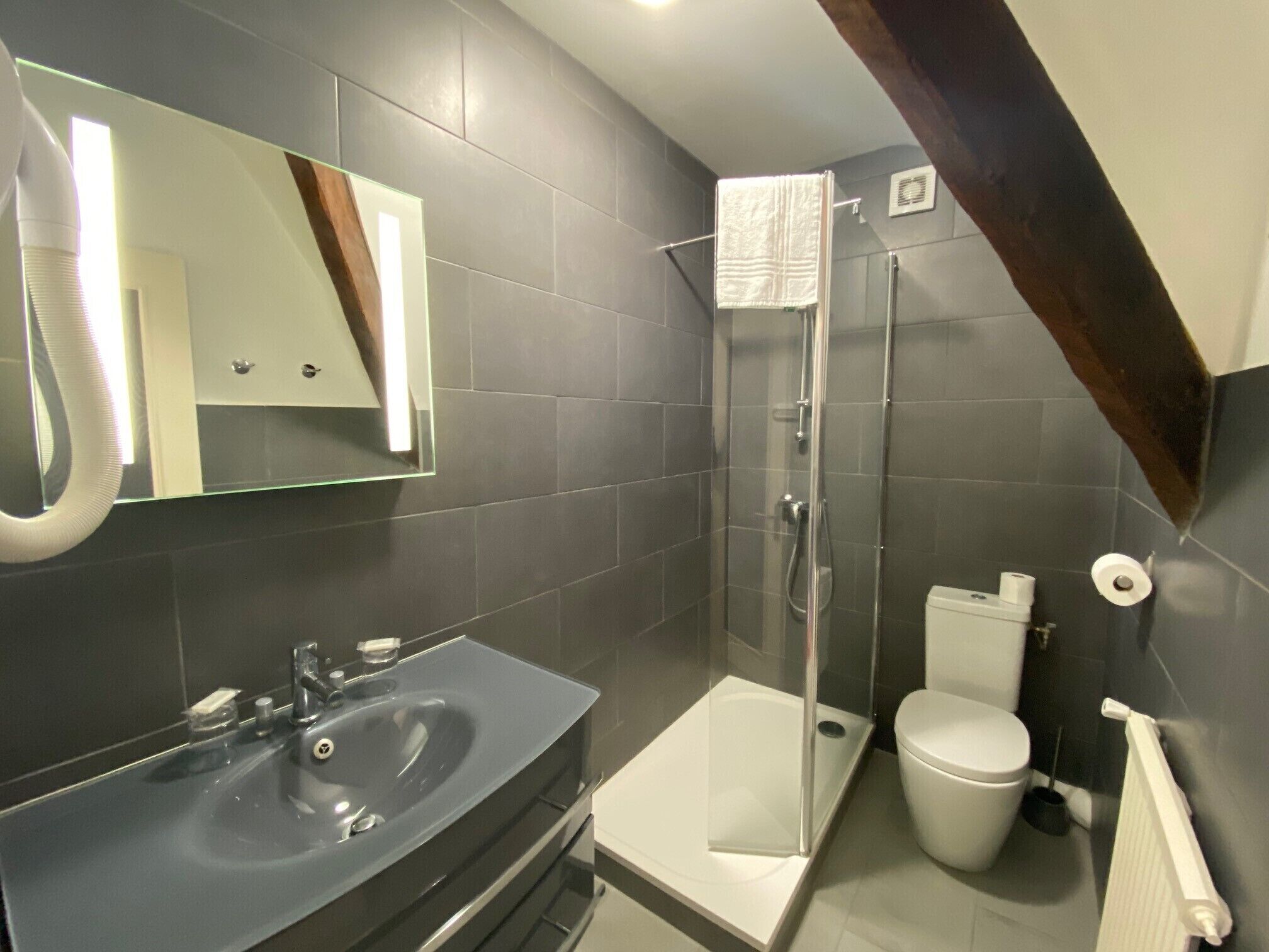 A modern bathroom with a dark tiled wall, a glass shower enclosure, a white toilet, and a large mirror above the sink.