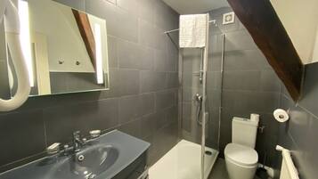 A modern bathroom with a dark tiled wall, a glass shower enclosure, a white toilet, and a large mirror above the sink.