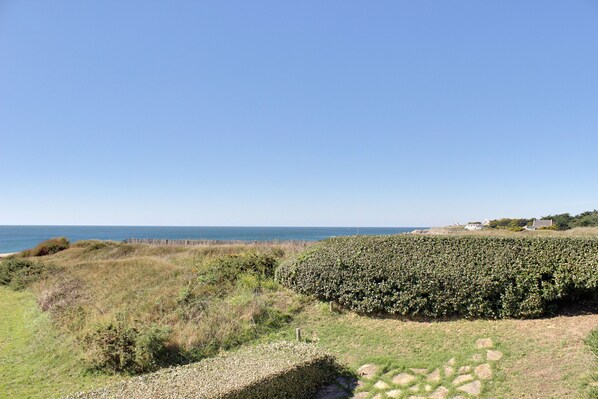 A coastal landscape with a hedge, grassy areas, and a distant view of the sea.