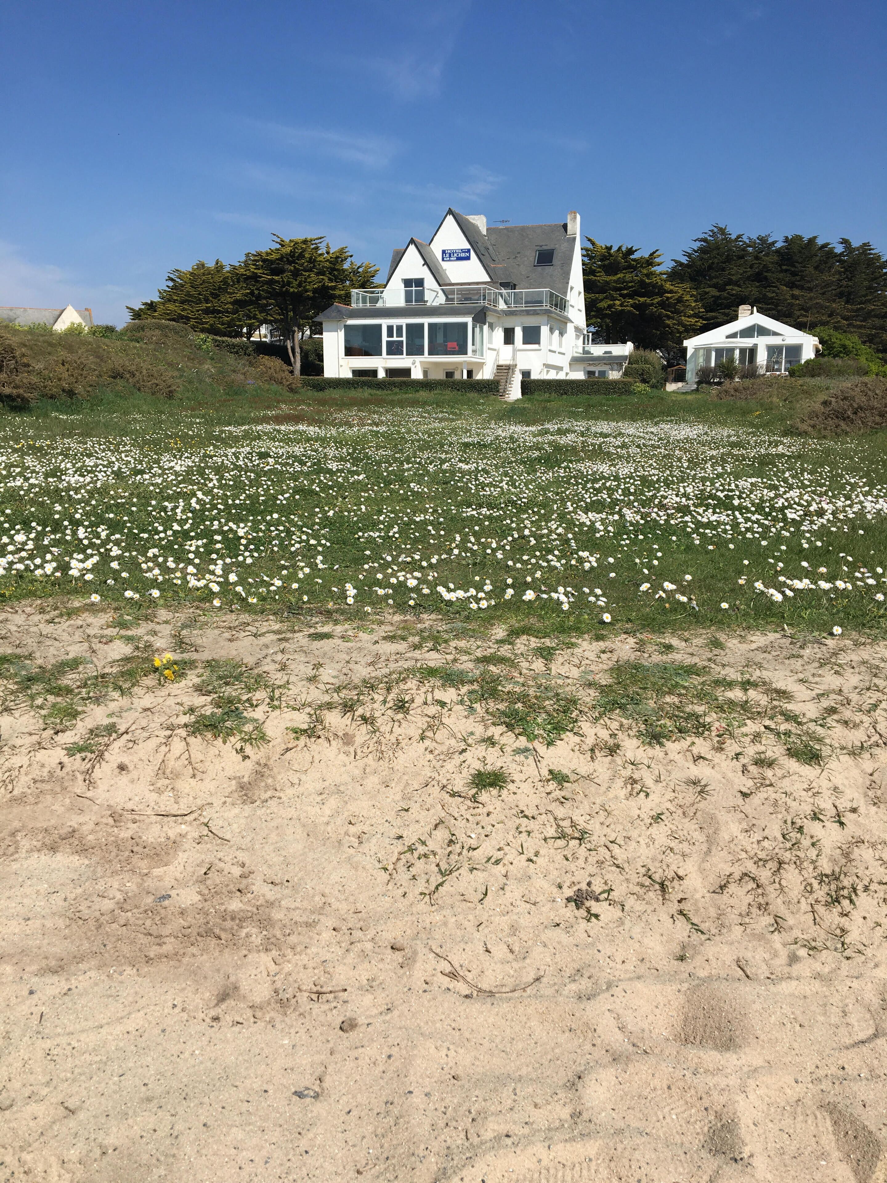 Ein Küstenhaus mit großem Garten und sandigem Vordergrund.