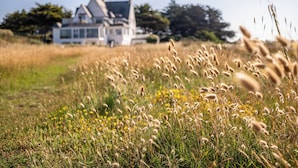 A house in a field with tall grasses and wildflowers. - Hotel Le Lichen (Batz-sur-Mer)