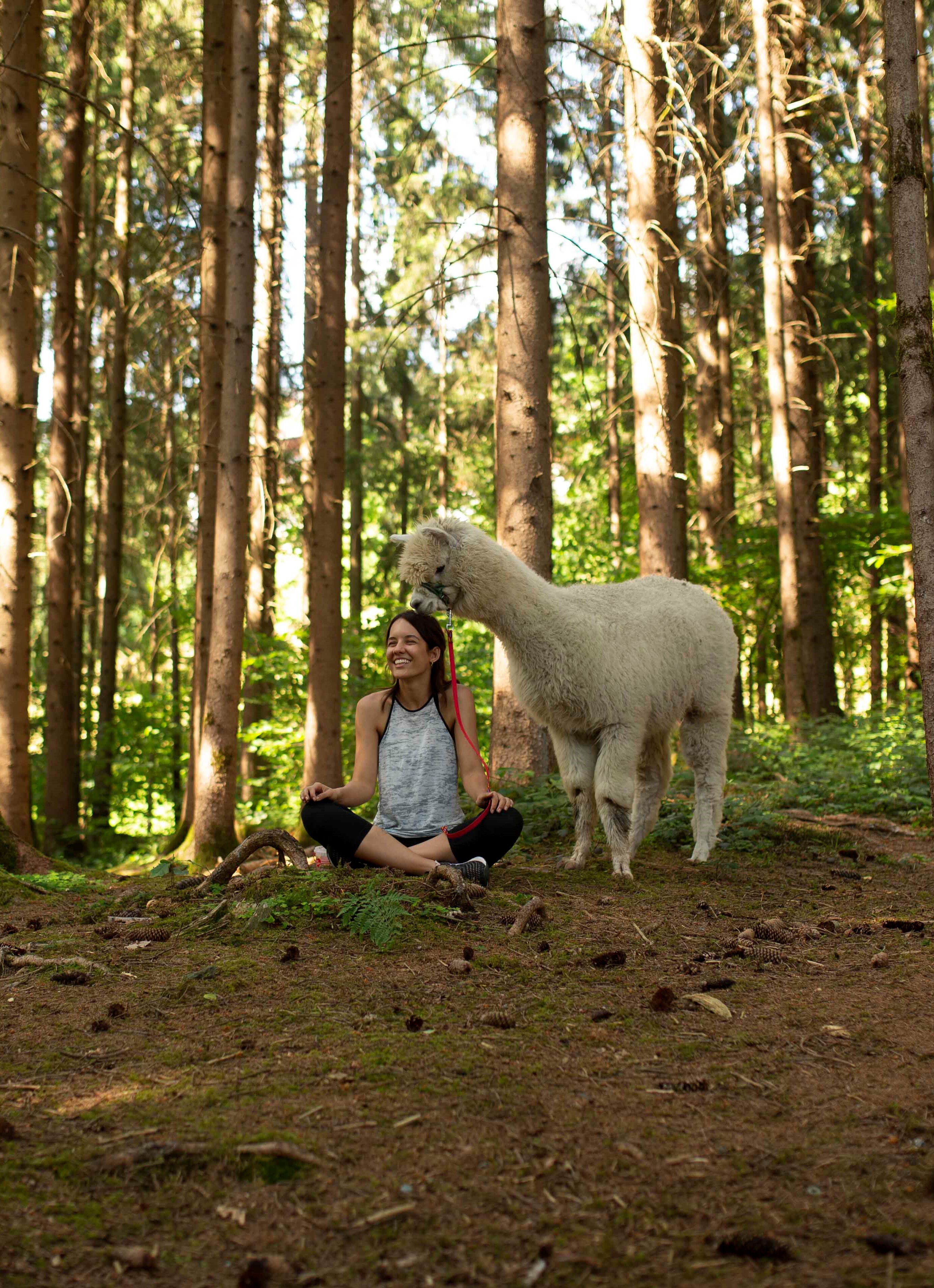 Une personne assise en tailleur sur le sol de la forêt, entourée d’arbres.