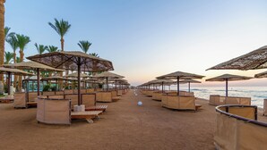 Un hôtel situé en bord de mer, avec des rangées de transats et de parasols, des palmiers et une vue sur la mer.