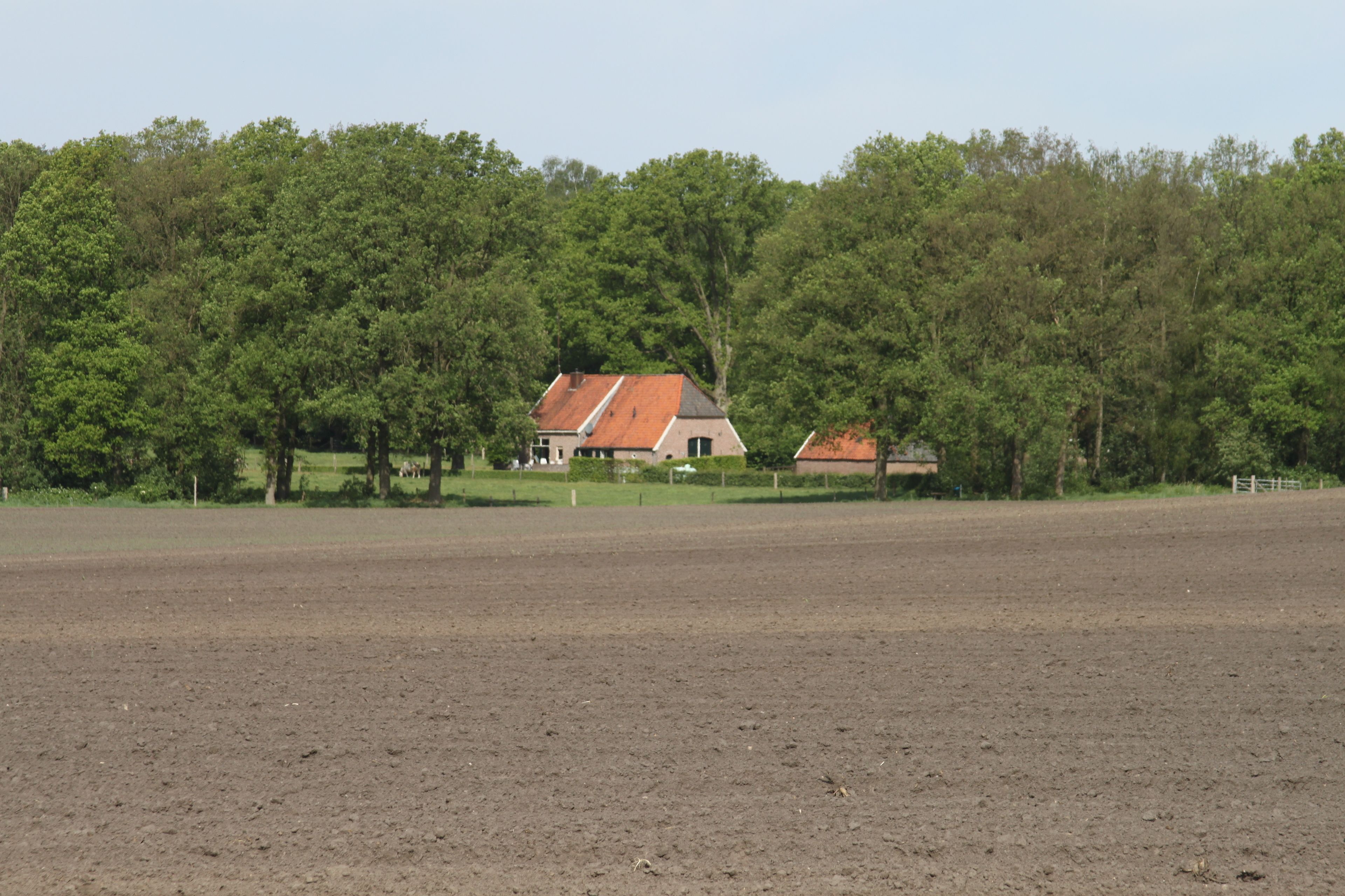 A rural landscape with a house and a fenced field.