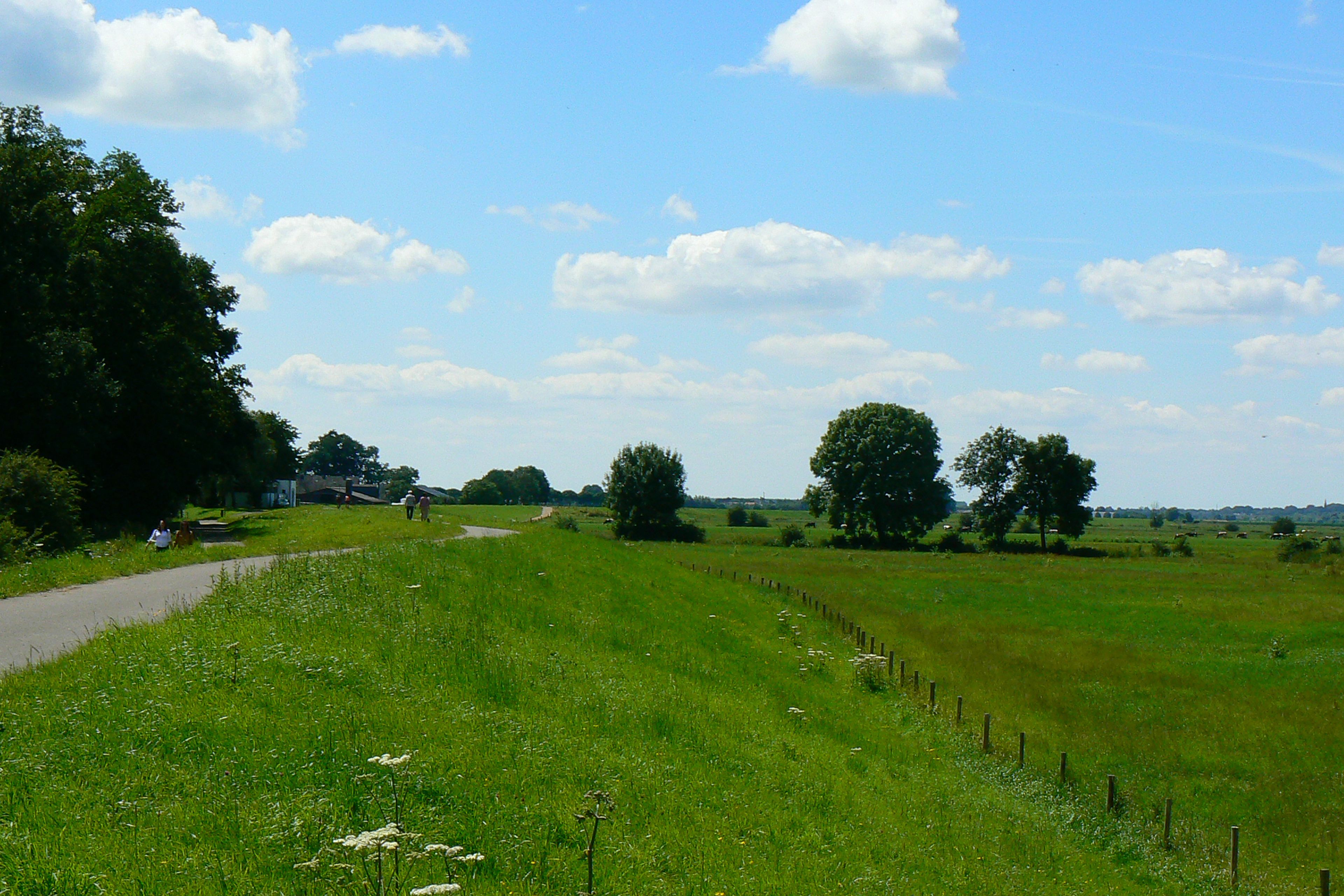 A rural landscape with a paved path, green fields, and trees.