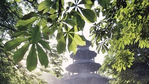 Un grupo de personas cenando al aire libre, con una estructura de estilo pagoda al fondo.