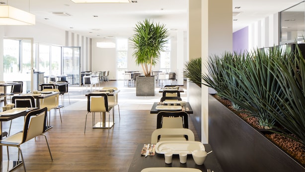 Un comedor moderno con mesas y sillas, una planta central y una jardinera alargada con follaje.