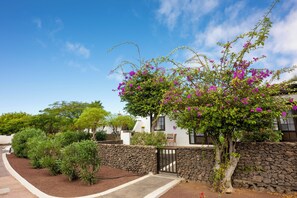Zona residencial con muro de piedra, camino pavimentado y una casa de fachada blanca y puerta negra.