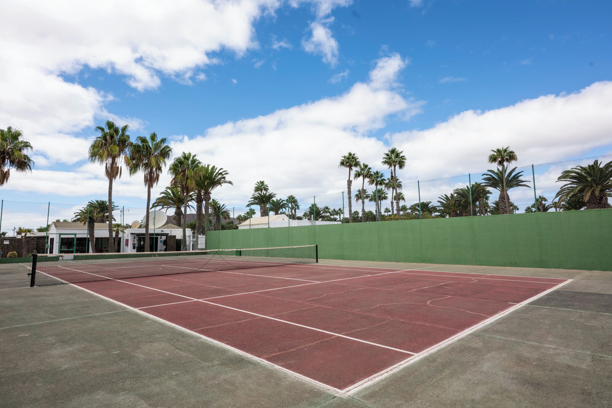 Una cancha de tenis al aire libre con valla verde, palmeras y cielo despejado.