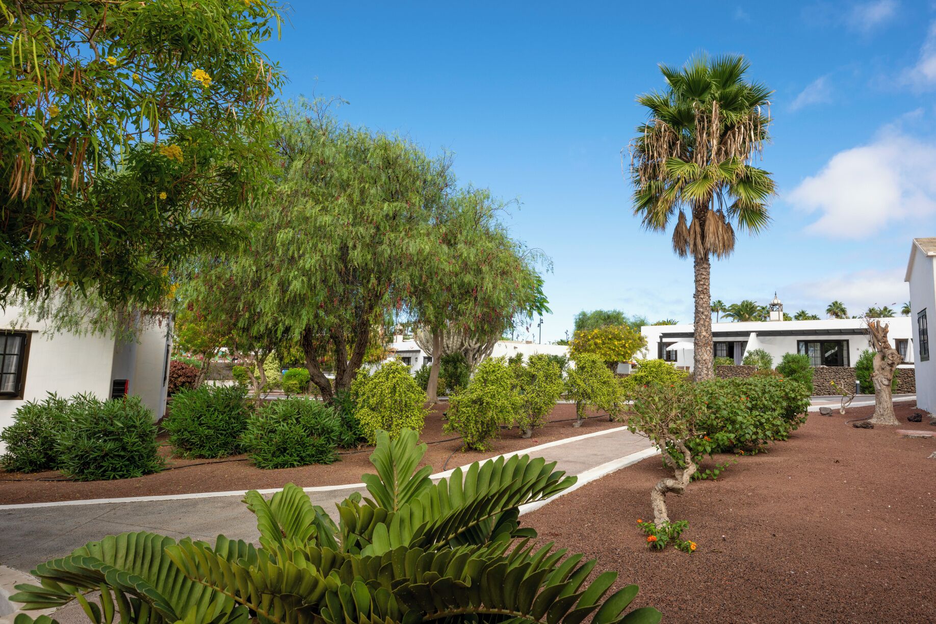 Jardín