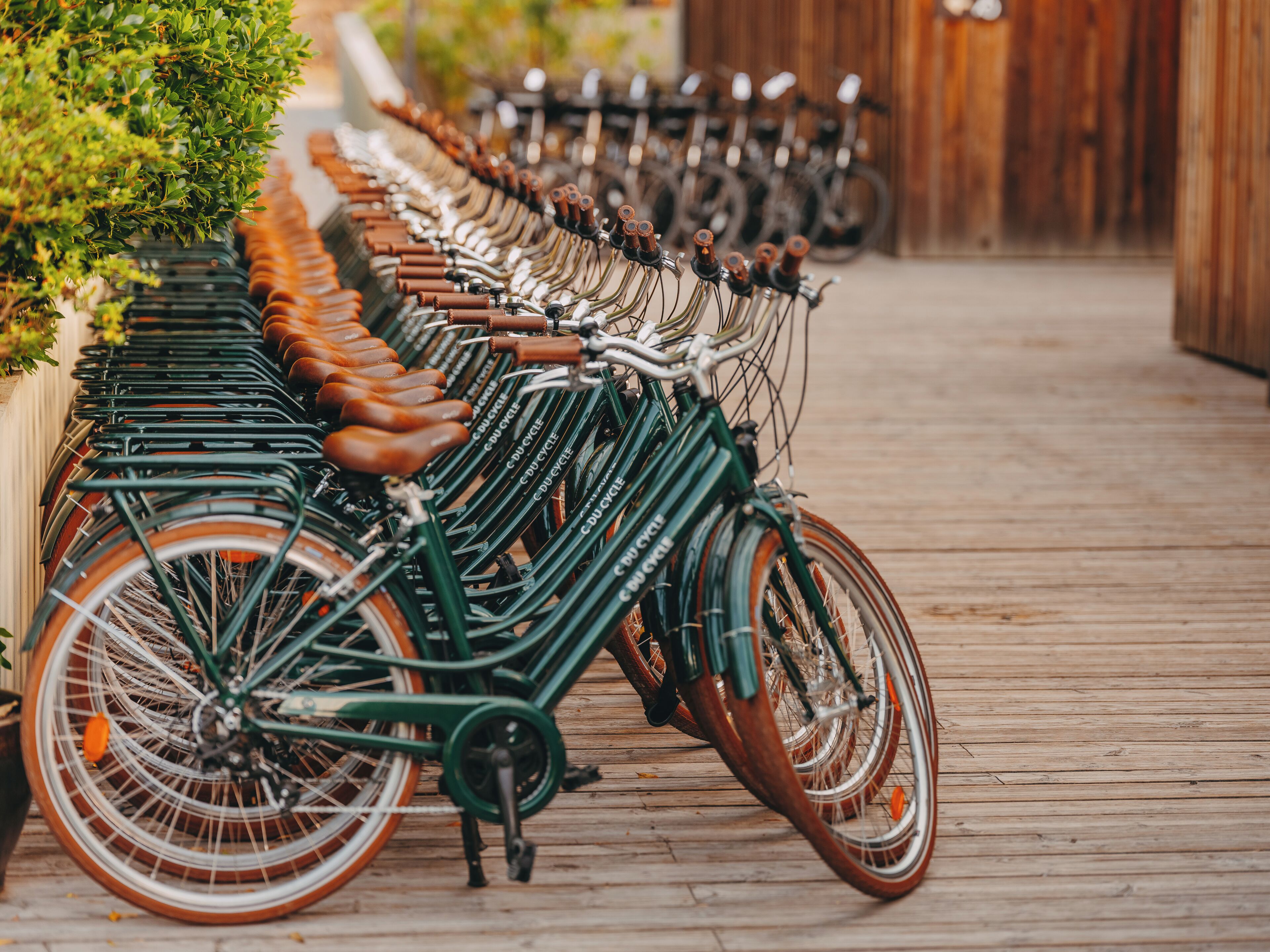A row of bicycles parked on a wooden deck.