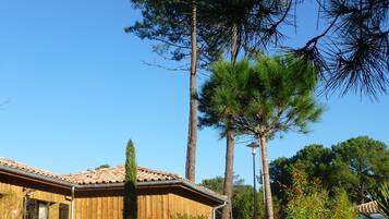 Une maison en bois avec un toit en tuiles, entourée de grands pins et de divers arbustes.